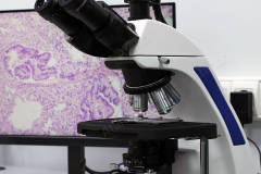 Оборудование лаборатории цифровой микроскопии в ПИМУ