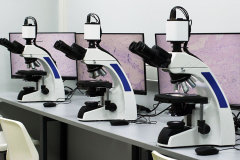 Оборудование лаборатории цифровой микроскопии в ПИМУ