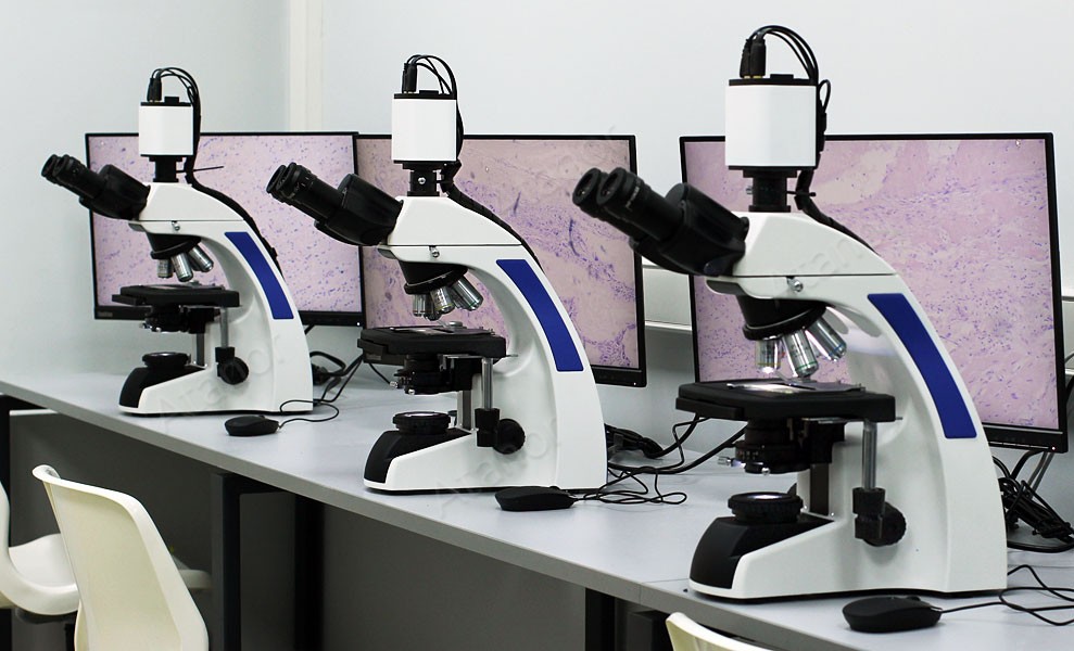 Оборудование лаборатории цифровой микроскопии в ПИМУ